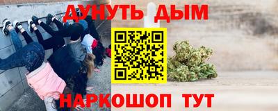 сатива Бийск