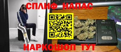 сатива Бийск