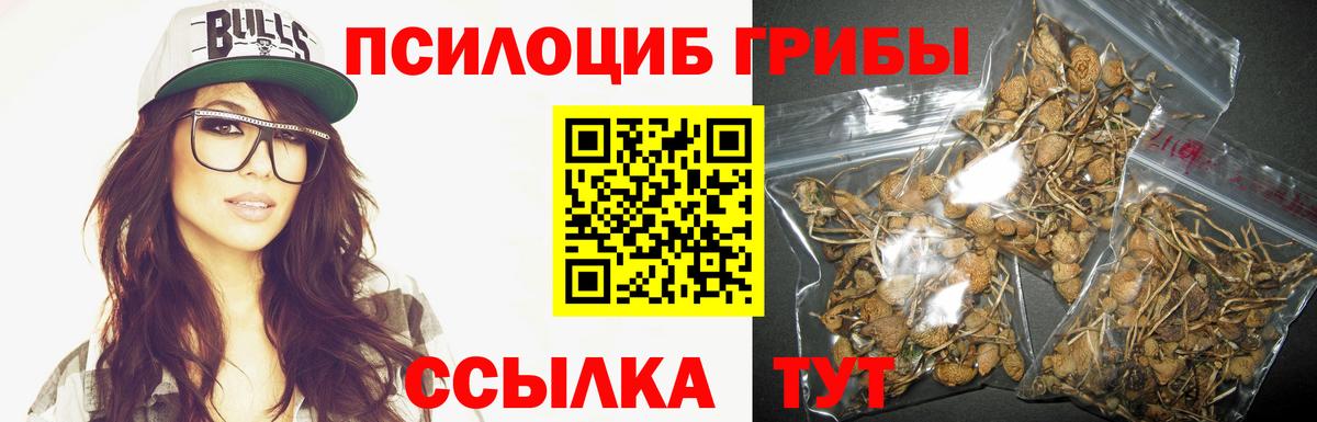 Галлюциногенные грибы GOLDEN TEACHER  Вход с VPN  Карачаевск 